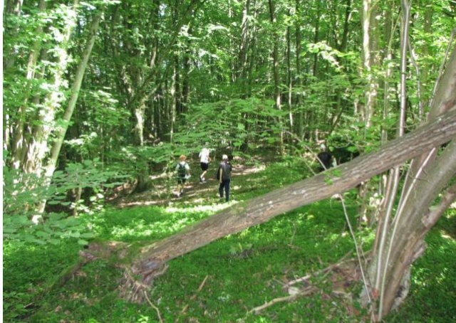 Actividad de orientación con Aventure Aventure 